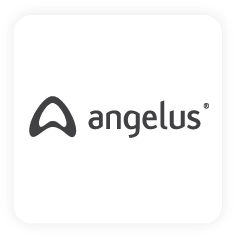 angelus