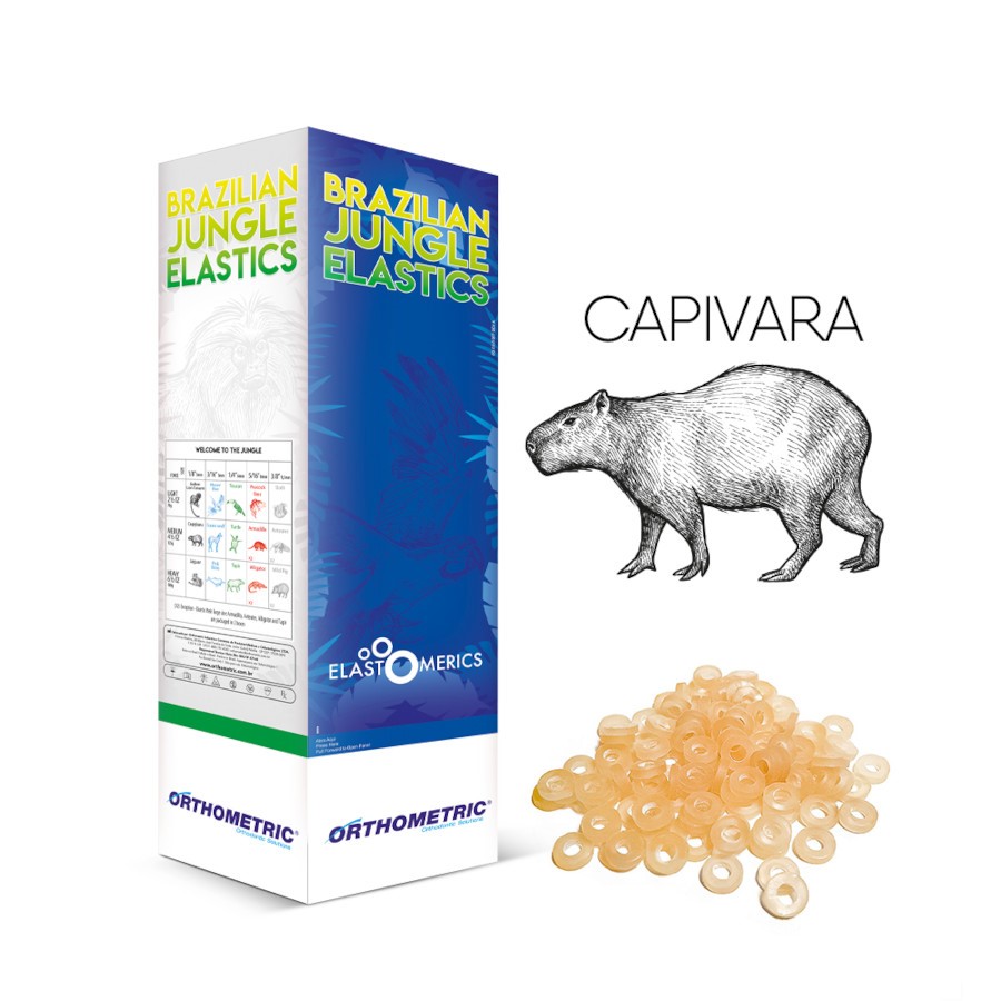 ELASTICO INTRAORAL 1/8" MEDIO 4.5OZ. CAPIVARA NEGRO PAQUETE DE 5000 UNIDADES ORTHOMETRIC REF. 60.10.2016